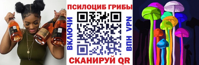 Псилоцибиновые грибы Cubensis  Купить  Благовещенск 